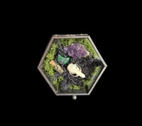 Image 1 of Echter Hamsterschädel - 10x9x4,5cm 