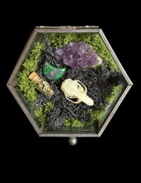 Image 2 of Echter Hamsterschädel - 10x9x4,5cm 