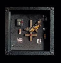 Image 2 of Totenkopfschwärmer und menschliche Zahnfragmente - 20x20cm