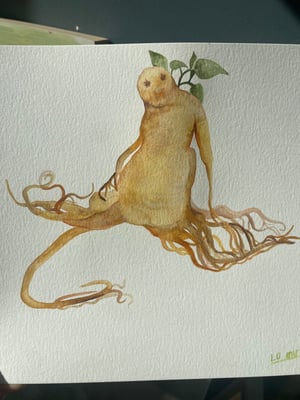 Ginseng (ORIGINAL)
