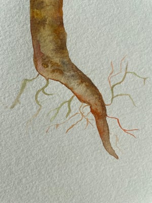 Waiting 4 U, Carrot (ORIGINAL)