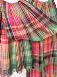 Image 2 of Ava-paradhis (Grapefruit)