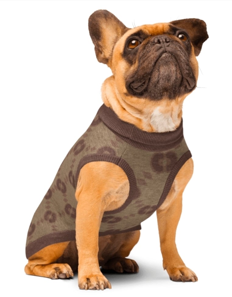 Image of Beans Knitted pet sweater