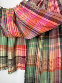 Image 4 of Brykedhen (Apricot)