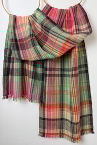 Image 1 of Brykedhen (Apricot)