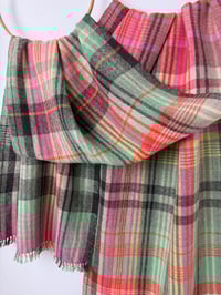 Image 5 of Brykedhen (Apricot)