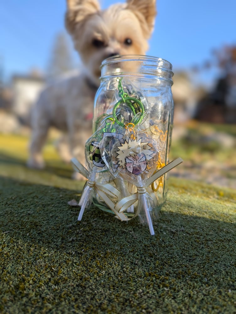 Image of Acrylic Lollipop keychain/ornaments 