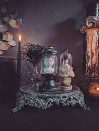 Image 1 of Mini doll domes 