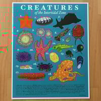 Creatures of the Intertidal Zone Print