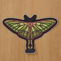 Spanish Moon Moth Sticker