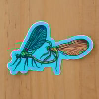 Damselfly Mating Wheel Sticker