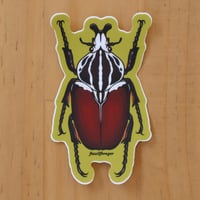 Goliath Beetle Sticker