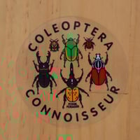 Image 2 of Coleoptera Connoisseur Sticker *Clear!*