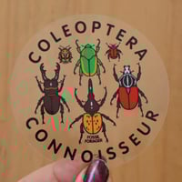 Image 1 of Coleoptera Connoisseur Sticker *Clear!*