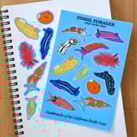 Image 1 of Nudibranchs of the California Coast Sticker Sheet
