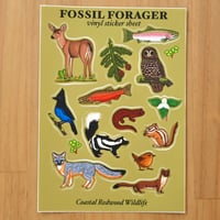 Image 2 of Coastal Redwood Wildlife Sticker Sheet