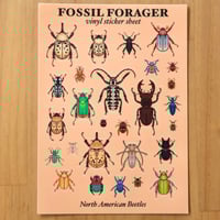 Image 2 of North American Beetles Sticker Sheet