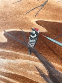 Image 3 of "Wild Foodies- Beaver and Woodpecker" Original Painting
