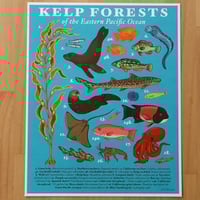 Kelp Forests of the Eastern Pacific Print