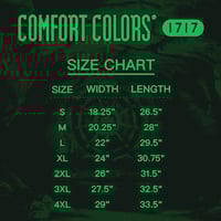 Image 2 of ☢️ capital wasteland  ☢️ {PRE-ORDER }