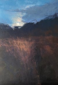 By The Light Of The Moon 