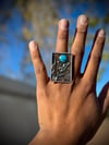 Eagle scenery with Kingman turquoise ring 