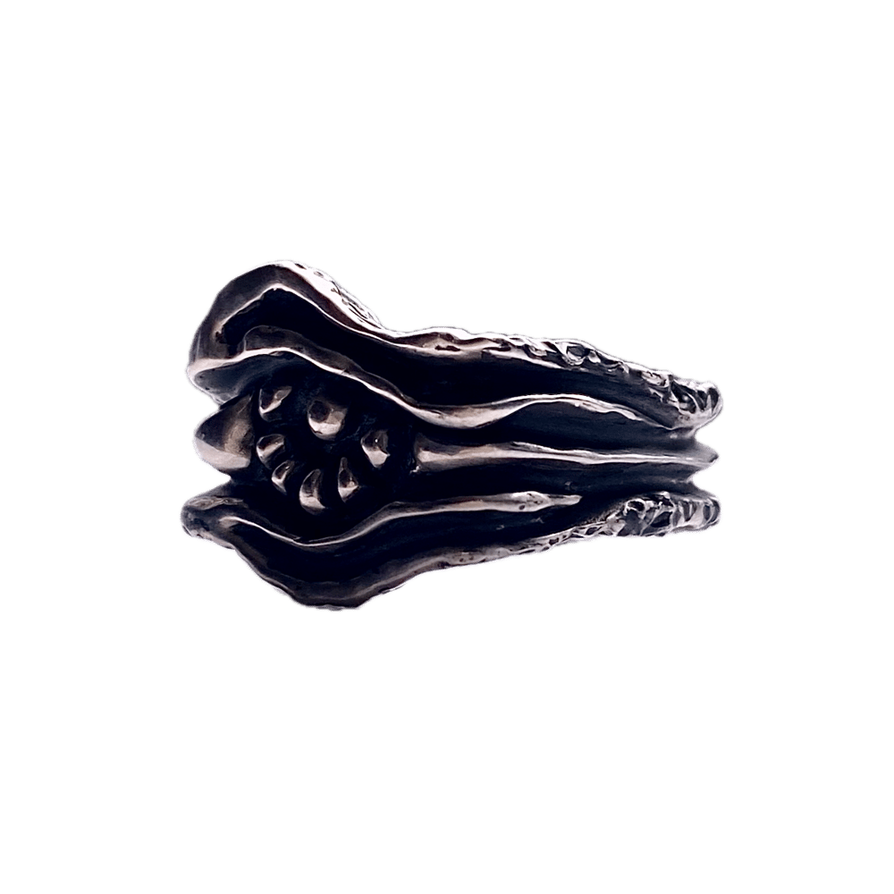 Image of All Knowing Ring