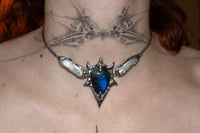 Image 2 of Belladonna