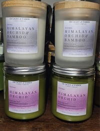 Image 1 of Himalayan Orchid