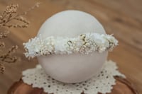 Newborn/Sitter Halo 26