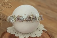 Newborn/Sitter Halo 27