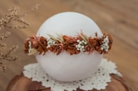 Newborn/Sitter Halo 52