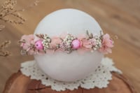 Newborn/Sitter Halo 55