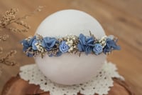 Newborn/Sitter Halo 56