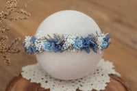 Newborn/Sitter Halo 57