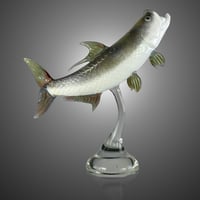 Image 2 of Tarpon
