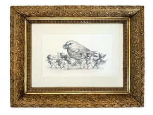 Image of The Wren - original illustration by Mab Graves