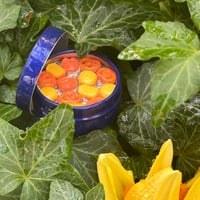 Image 5 of Cookie Tin Pin & Hairclip