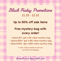 Black Friday Promo Info