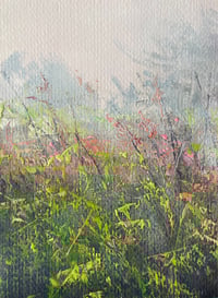 First Signs Of Spring