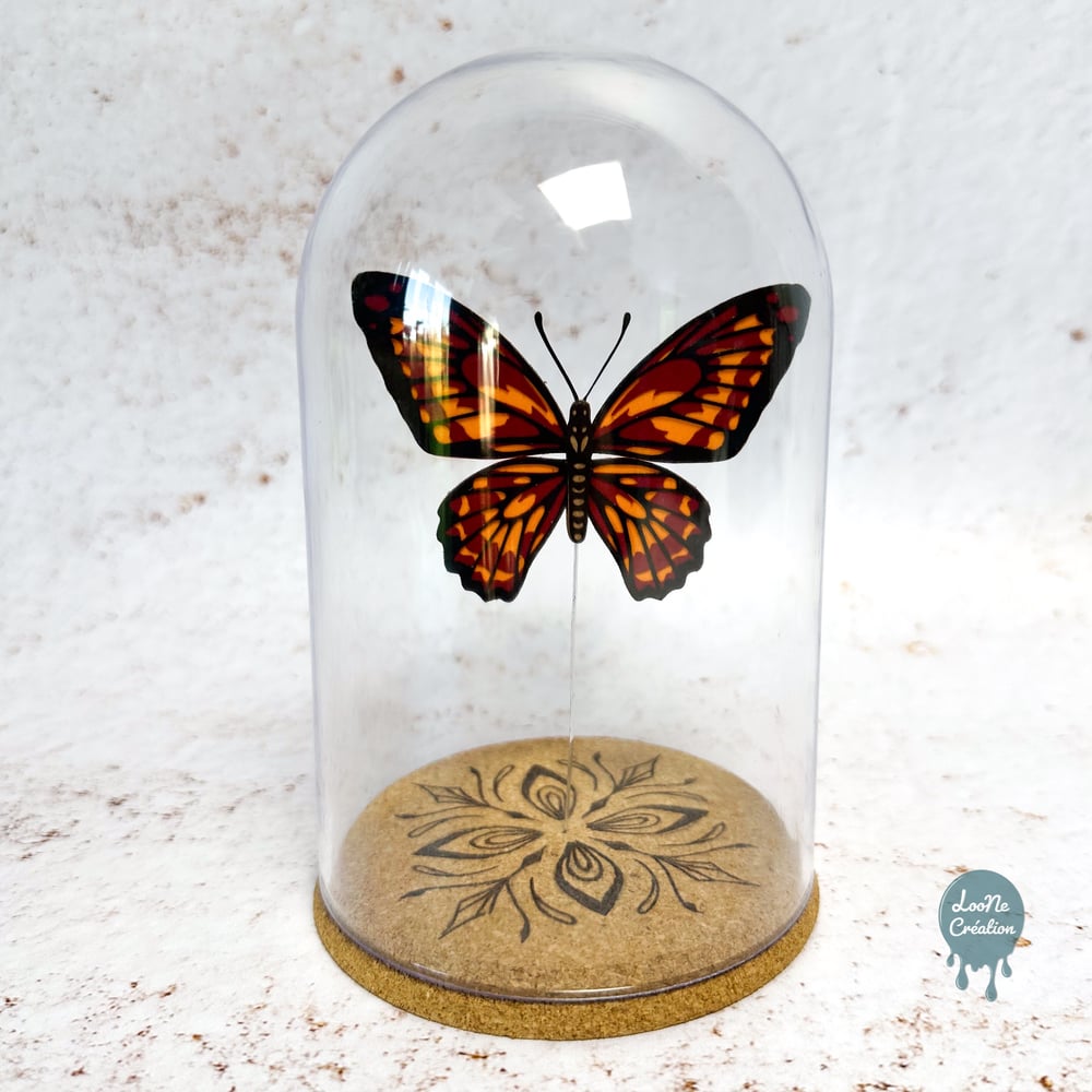Image of Papillon Rouge sous verre