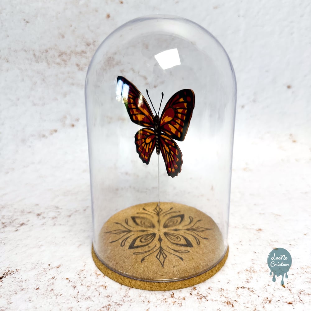 Image of Papillon Rouge sous verre