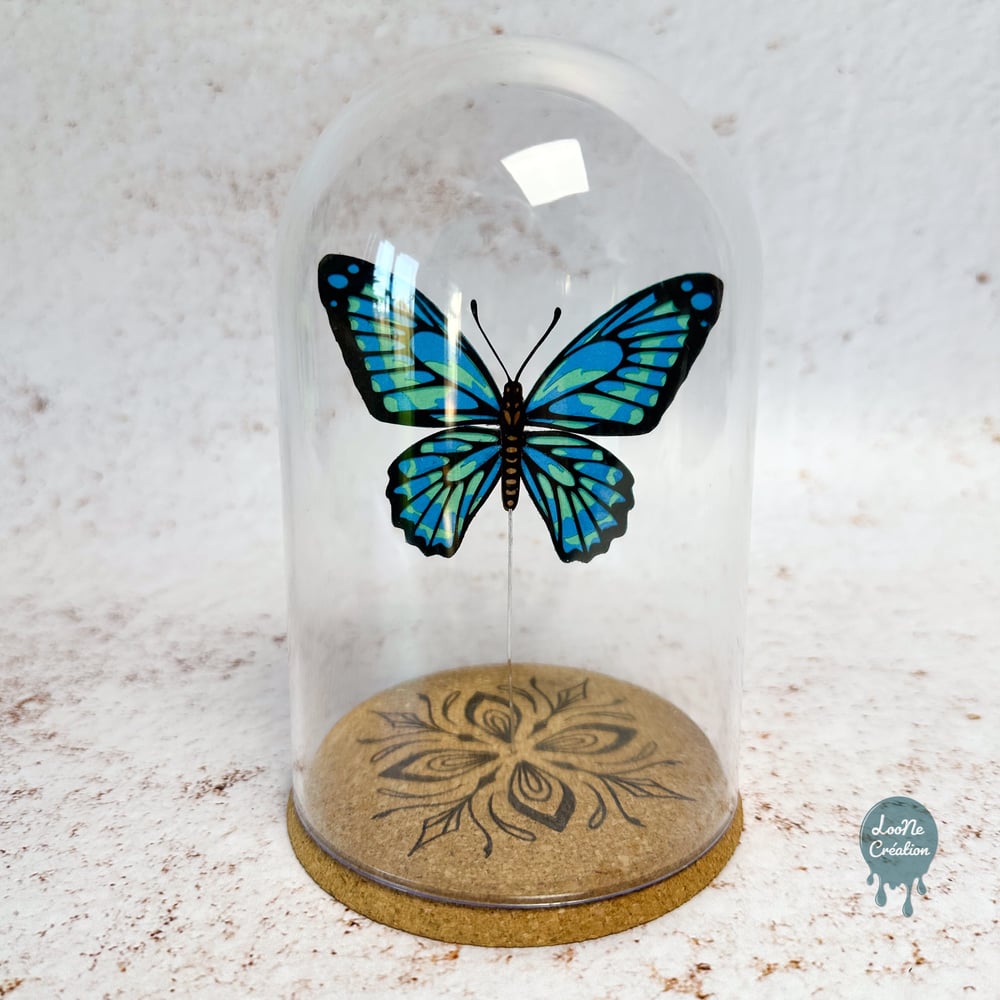 Image of Papillon bleu sous verre