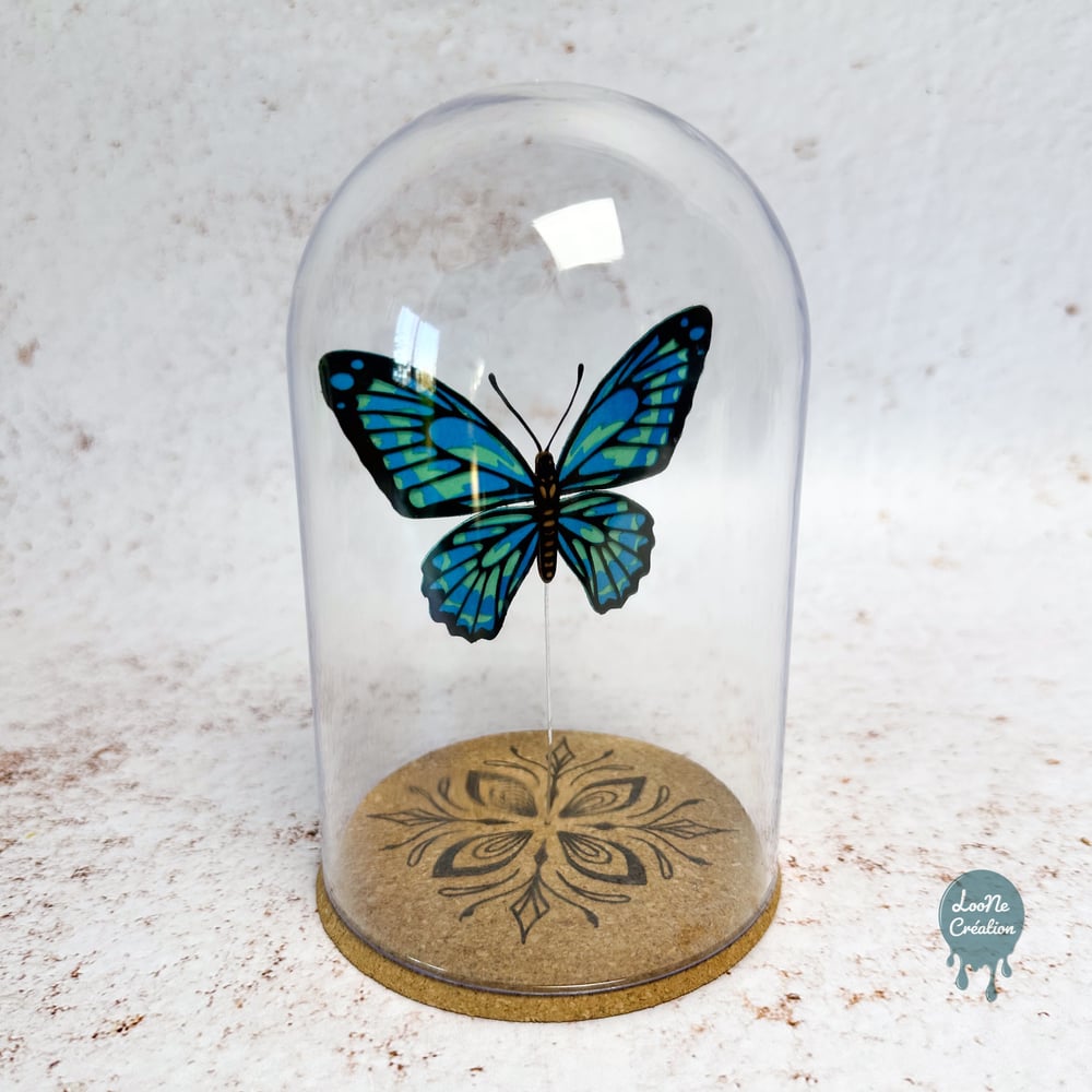 Image of Papillon bleu sous verre