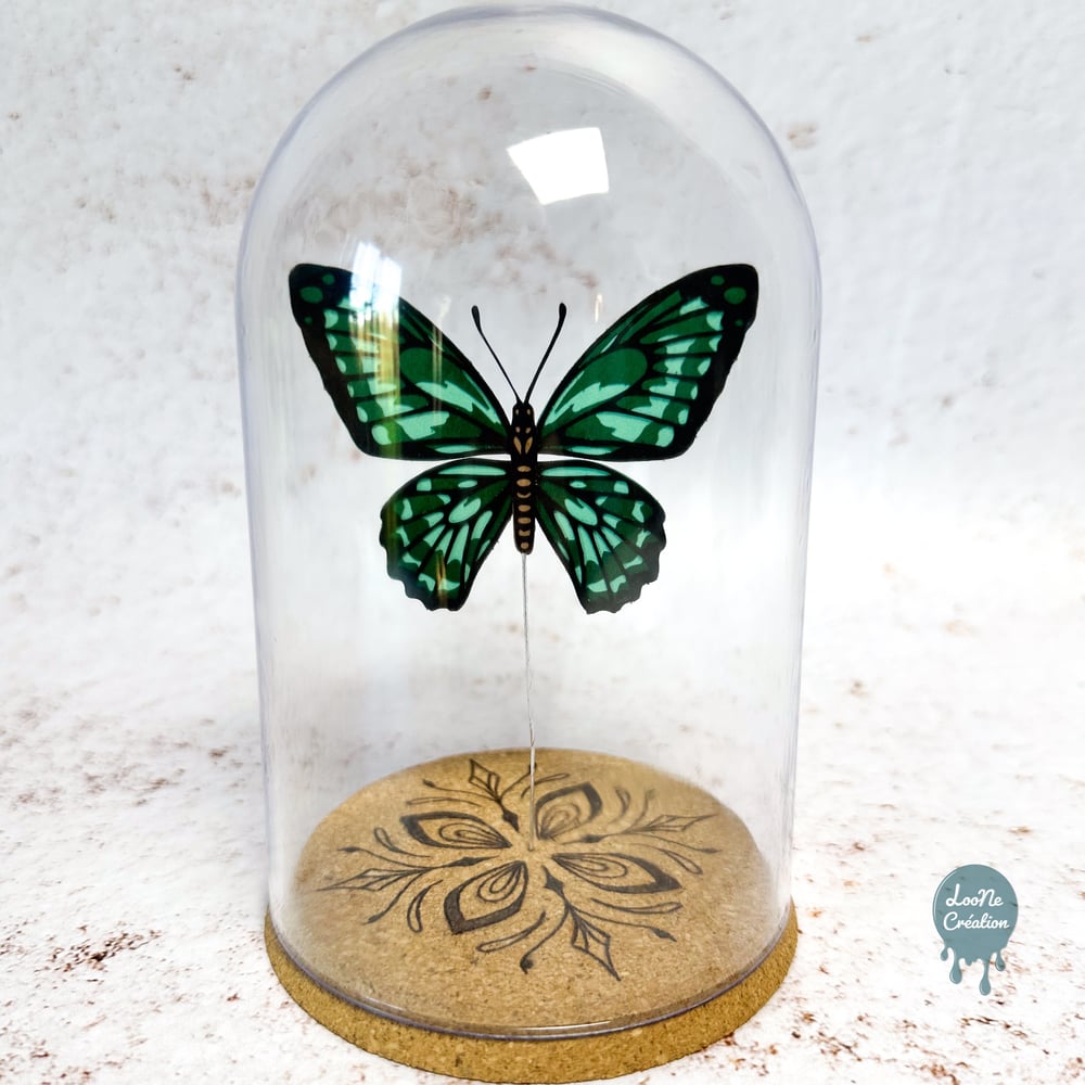 Image of Papillon Vert sous verre