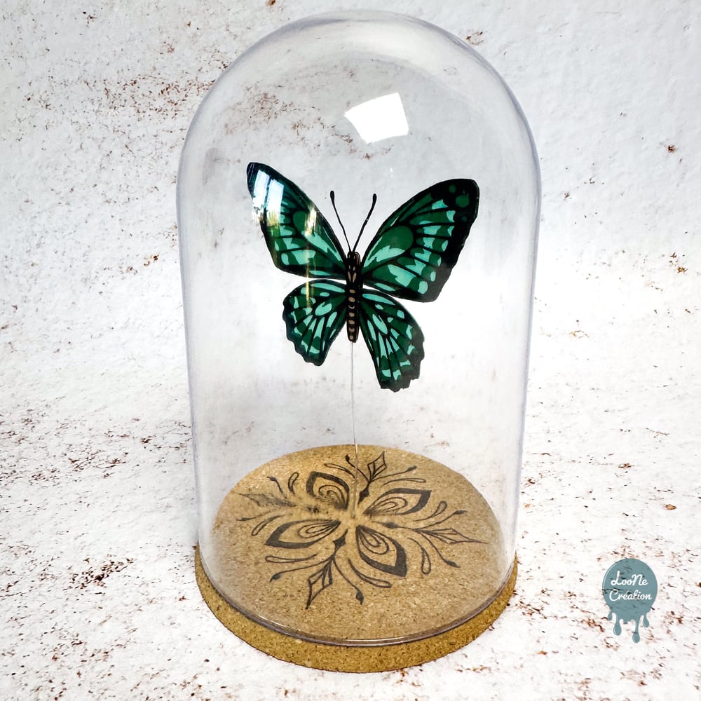 Image of Papillon Vert sous verre