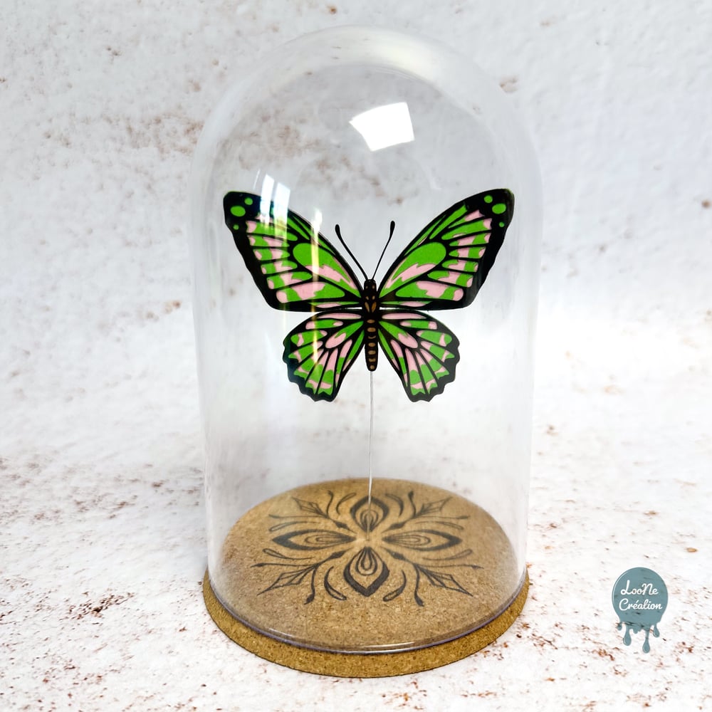 Image of Papillon Rose et Vert sous verre