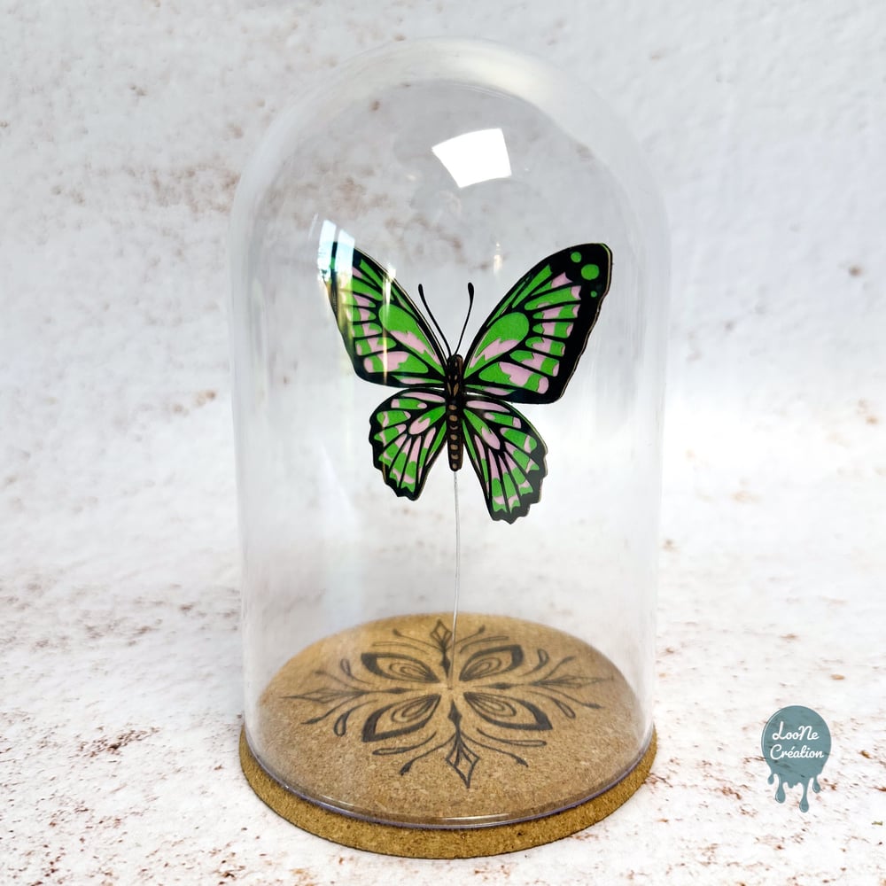 Image of Papillon Rose et Vert sous verre