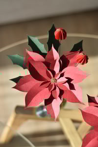 Image 5 of XMAS FLORAL PLEASURE