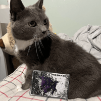 Image 3 of Taja Cassettes